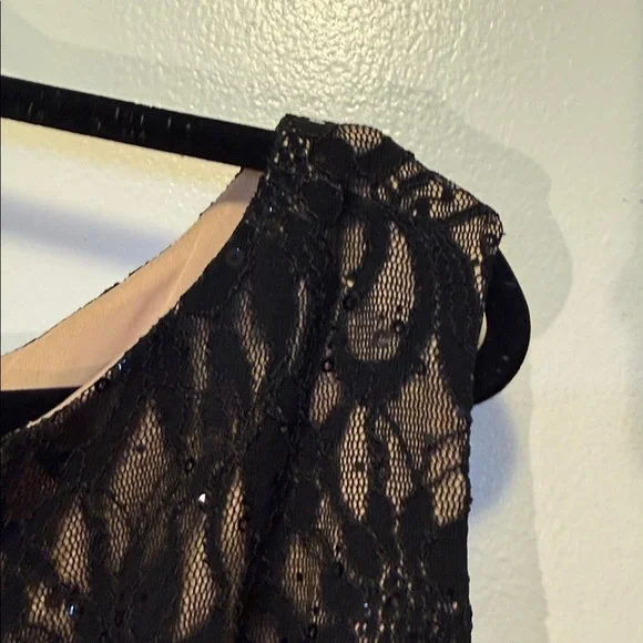 DressBarn Collection Elegant Black Lace Evening Dress - Picture 5 of 14